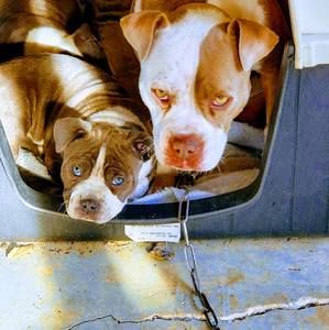 Meet your Posher, Kenneth